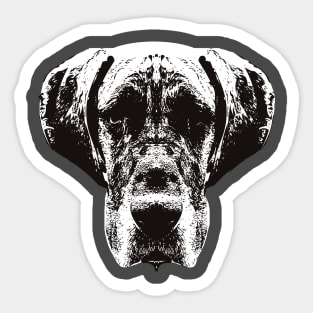 Great Dane - Dane Christmas Gifts Sticker